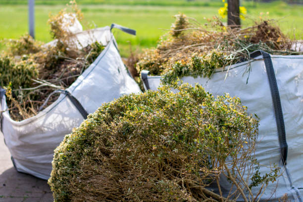 Best Construction Debris Removal  in Lewisburg, WV