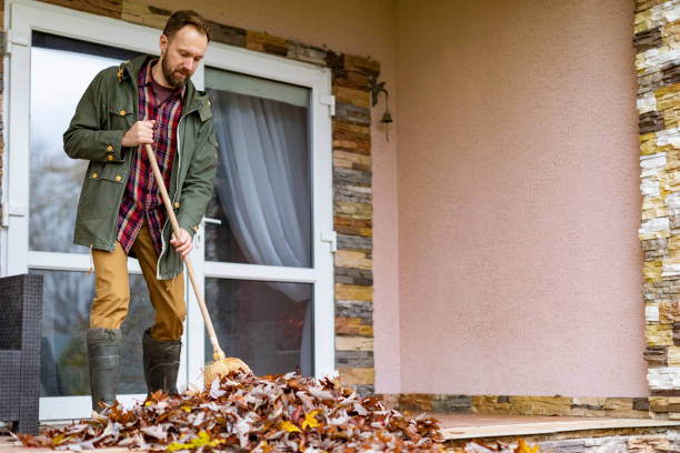 Best Yard Cleanup Services  in Lewisburg, WV