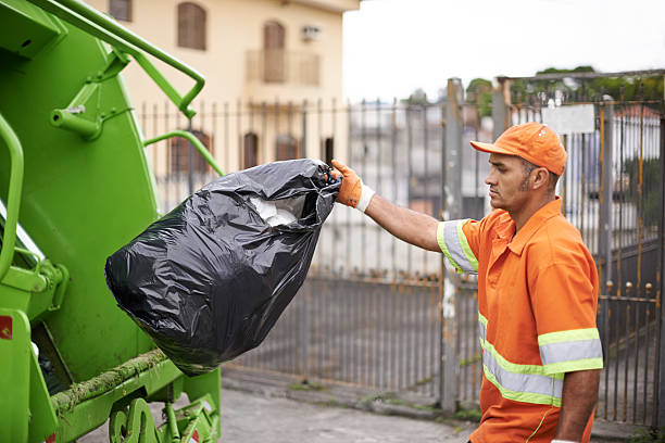 Best Basement Cleanout Services  in Lewisburg, WV